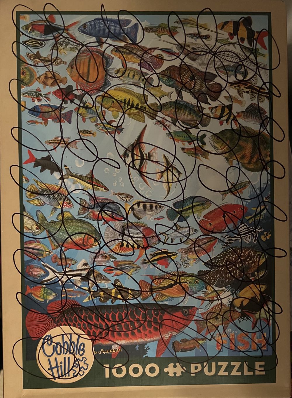 Golden Cities Vienna