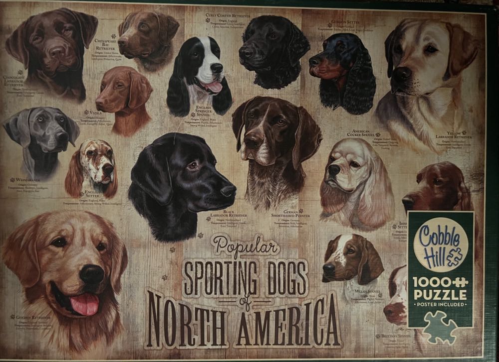 ⬜️Santa’s Polar Express (Verkocht)