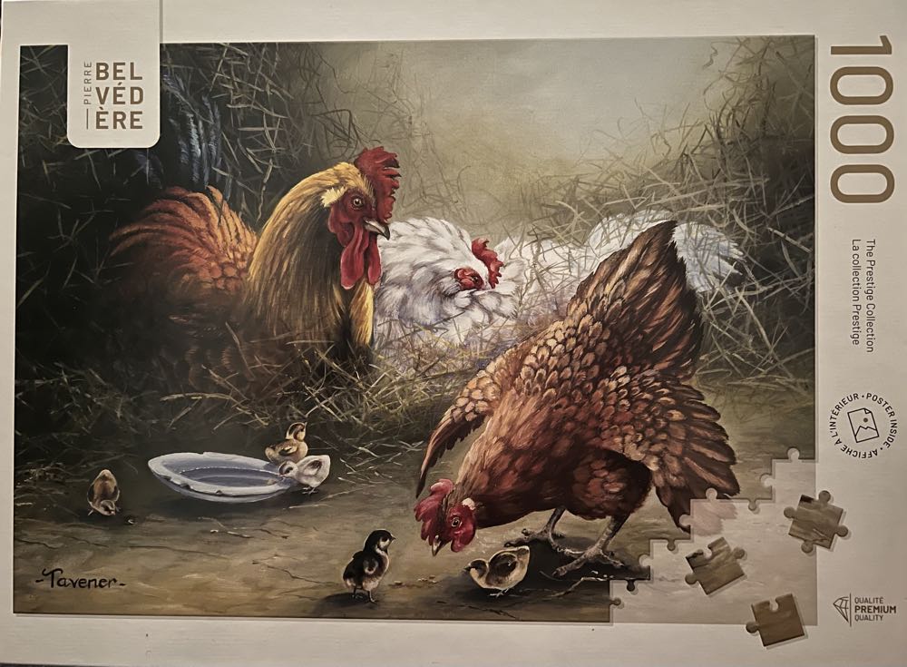 Puppies in the Bedroom 🟦