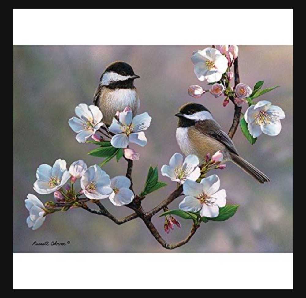 Cherry Blossom Chickadees  - Bits & Pieces puzzle collectible [Barcode 192949000262] - Main Image 3