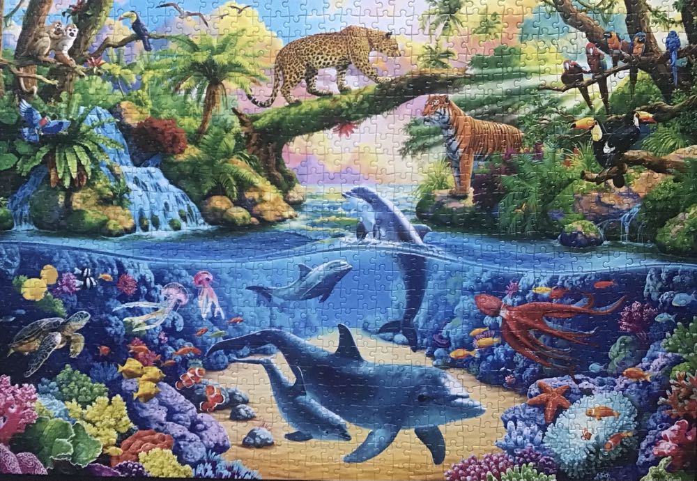 Wild Nature - Castorland puzzle collectible [Barcode 5904438104888] - Main Image 2