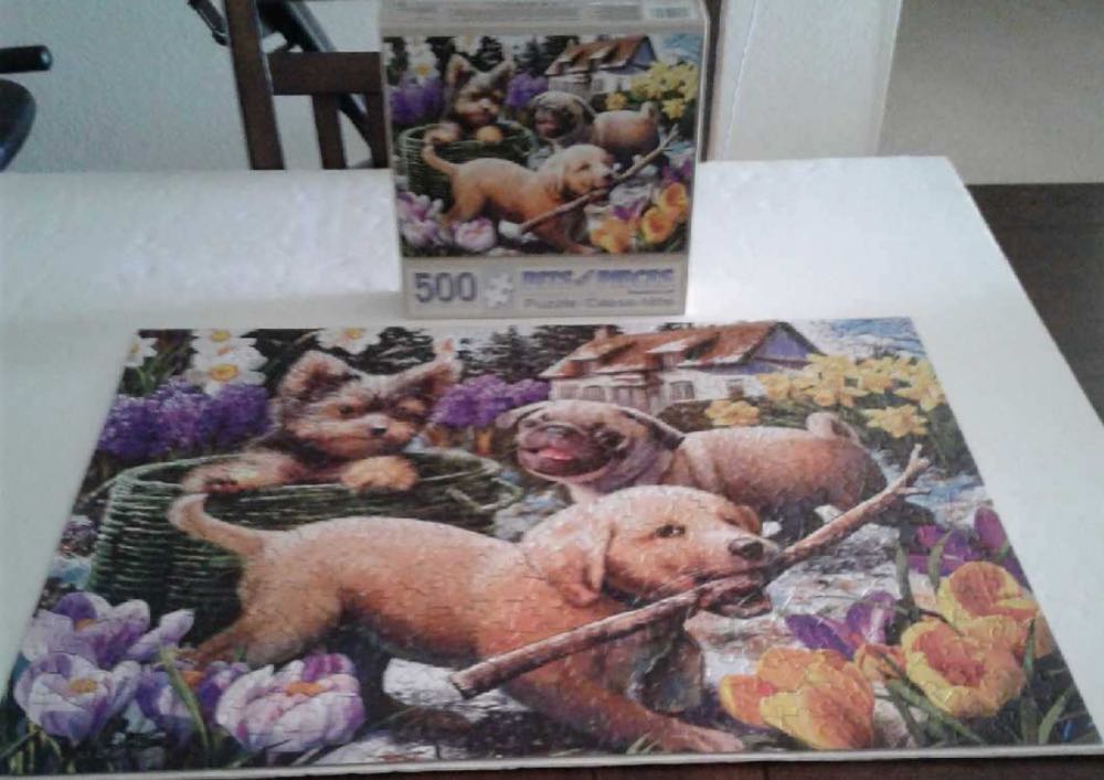 Signs Of Spring - SOLD - Bits And Pieces puzzle collectible [Barcode 192949036438] - Main Image 2