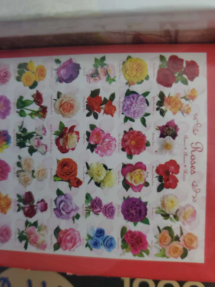 Sights Of London, The