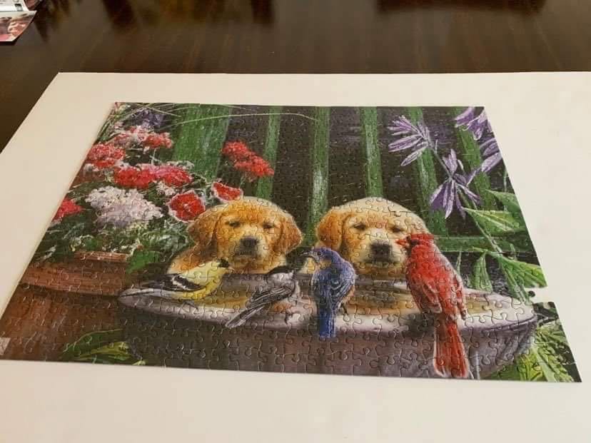 Mother’s Day Doggies Jessica