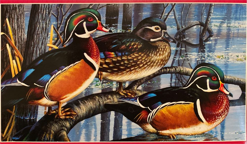 Countryside Afternoon