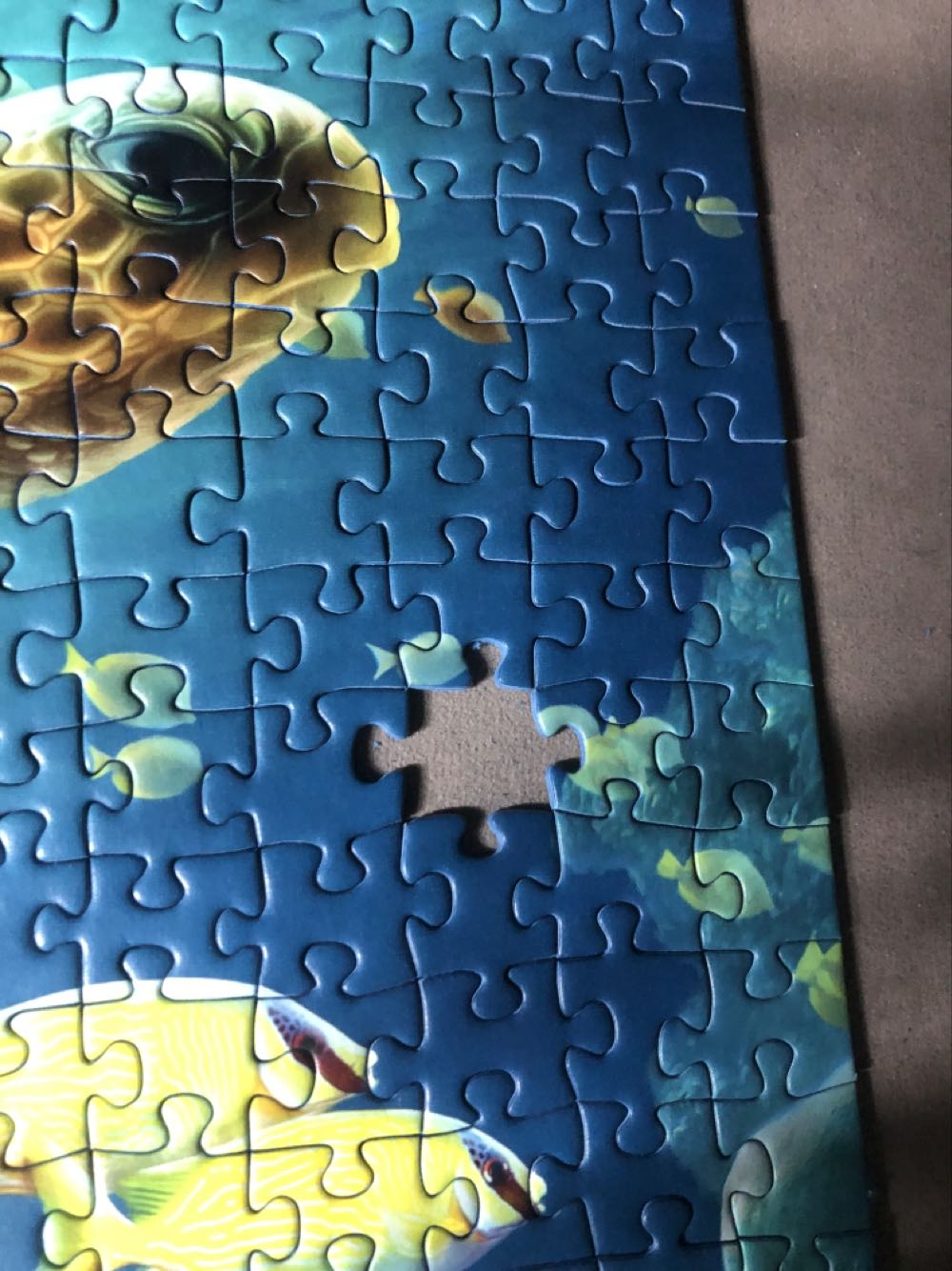 Blue underwater world - Ravensburger 🇩🇪 puzzle collectible [Barcode 4005556170852] - Main Image 4