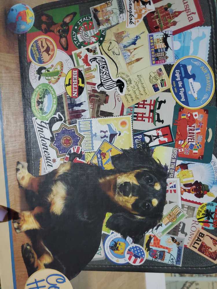 Getting Things Ironed Out With Caruso