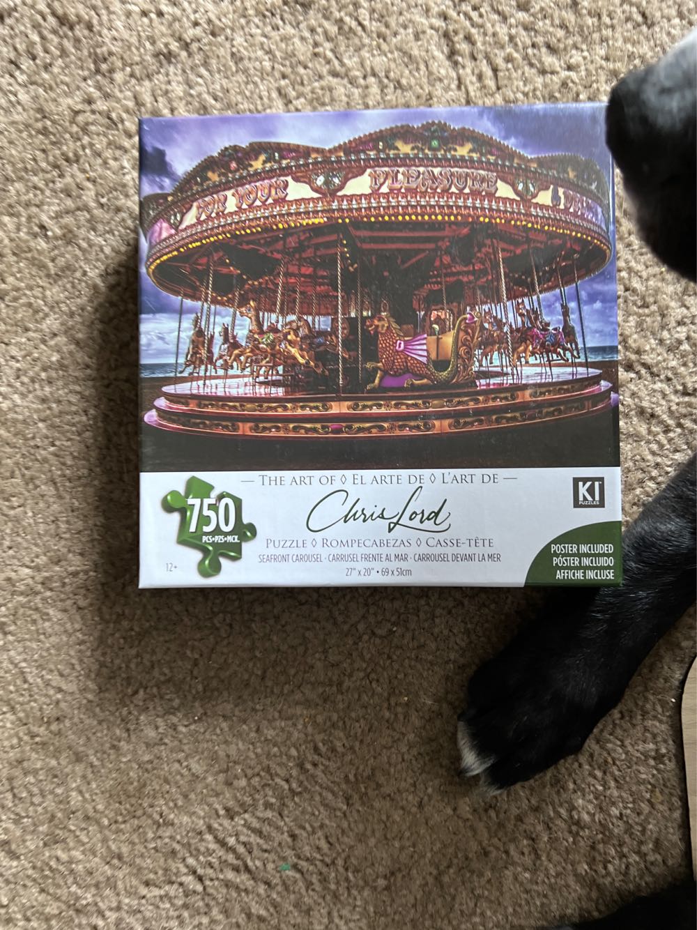 Masterpieces Piece Sports Jigsaw Puzzle Ncaa Montana Grizzlies Center View Panoramic 13”x39”