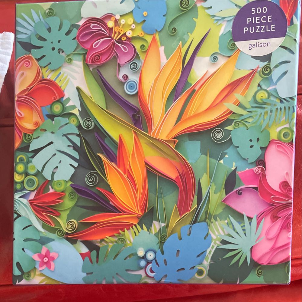 Tropical Impressions