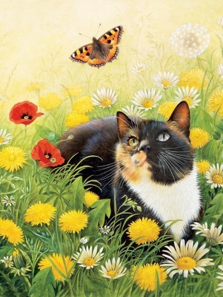 Fauna Fantasies Equipidae