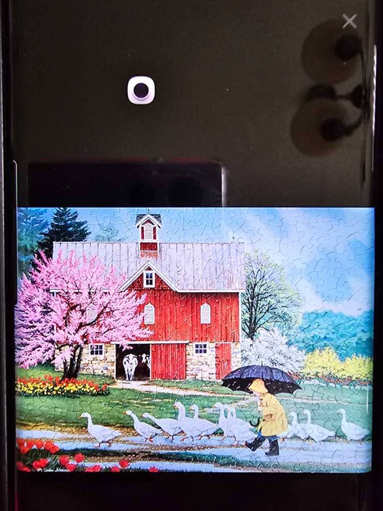 300: Puddle Jumpers - Bits & Pieces puzzle collectible [Barcode 192949037466] - Main Image 2