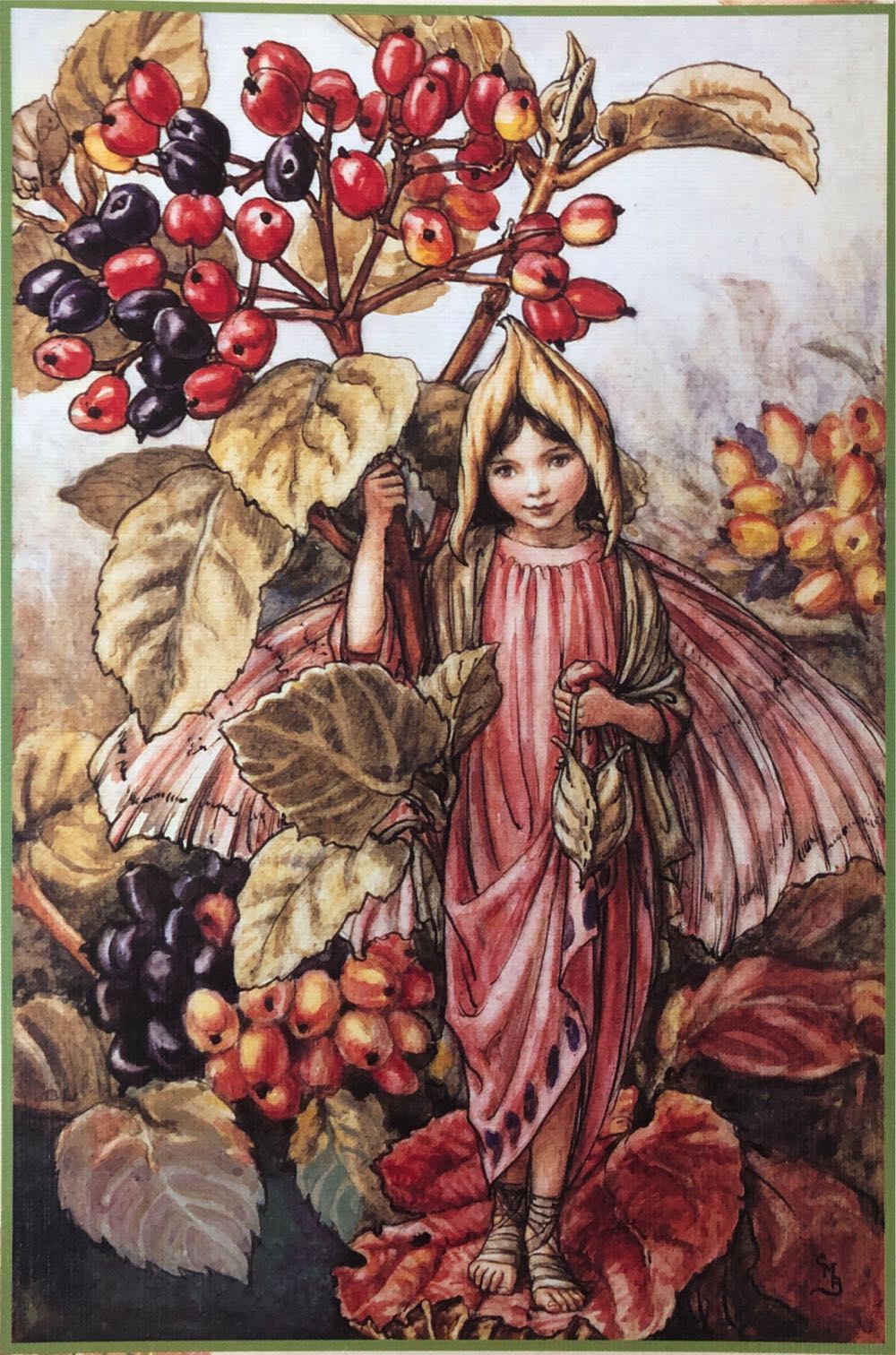 Flower Fairies The Wayfaring Tree Fairy - Master - Line puzzle collectible [Barcode 8711597001067] - Main Image 2