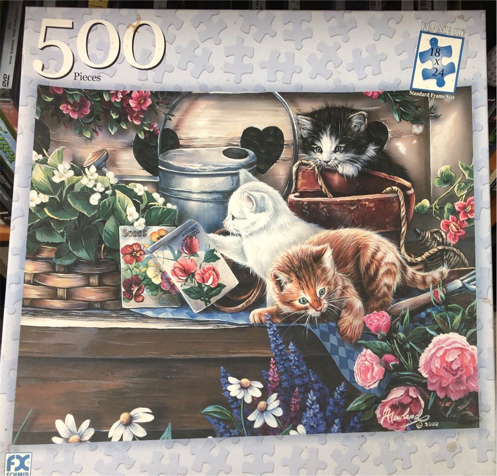 The Rose Fairy Flower Fairies