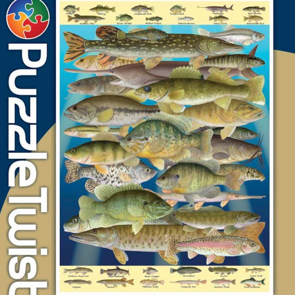 Liquid Tight Connectors Straight Morris Products