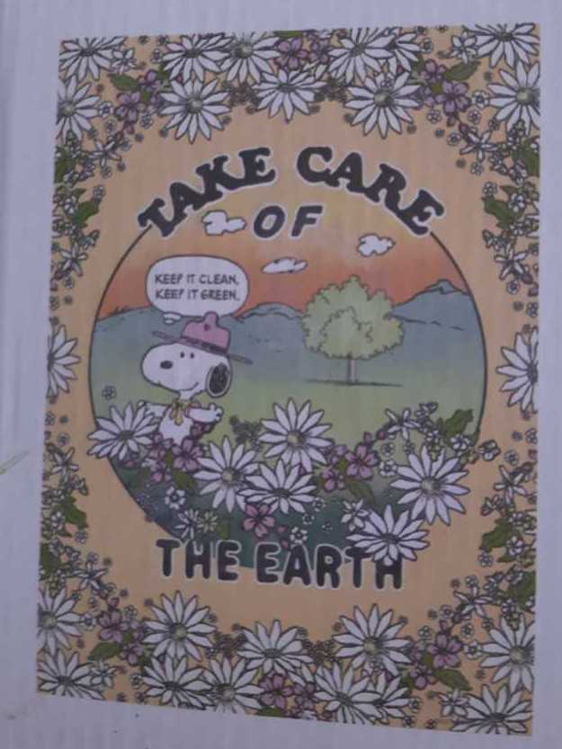 Peanuts Piece Jigsaw Puzzle Art Take Care Of The Earth Ages 8 W Poster  puzzle collectible [Barcode 9357753365292] - Main Image 2