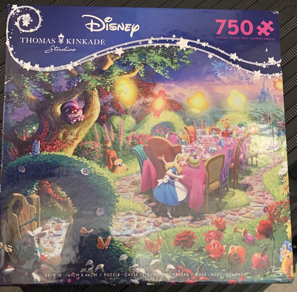 Comic & Curious Cats Elephant Riders India