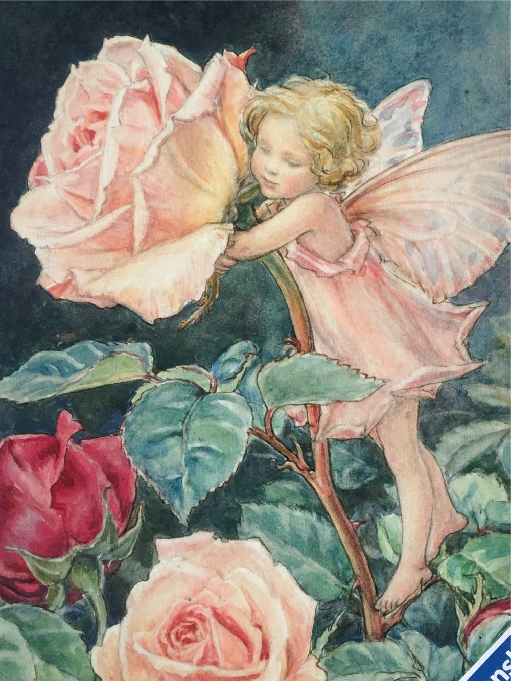 The Rose Fairy Flower Fairies - Ravensburger puzzle collectible [Barcode 4005556153268] - Main Image 2