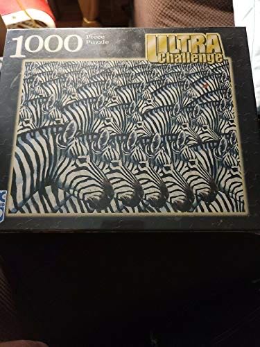 Walt’s Plane Posters 