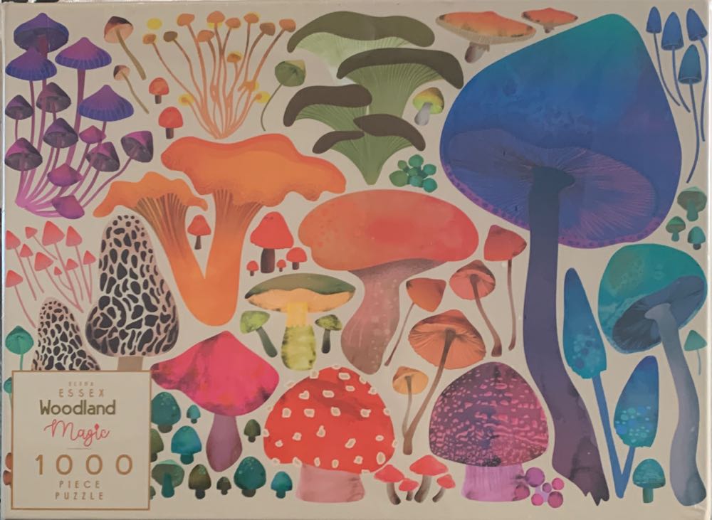 Hanayama MÖBIUS Lvl 4