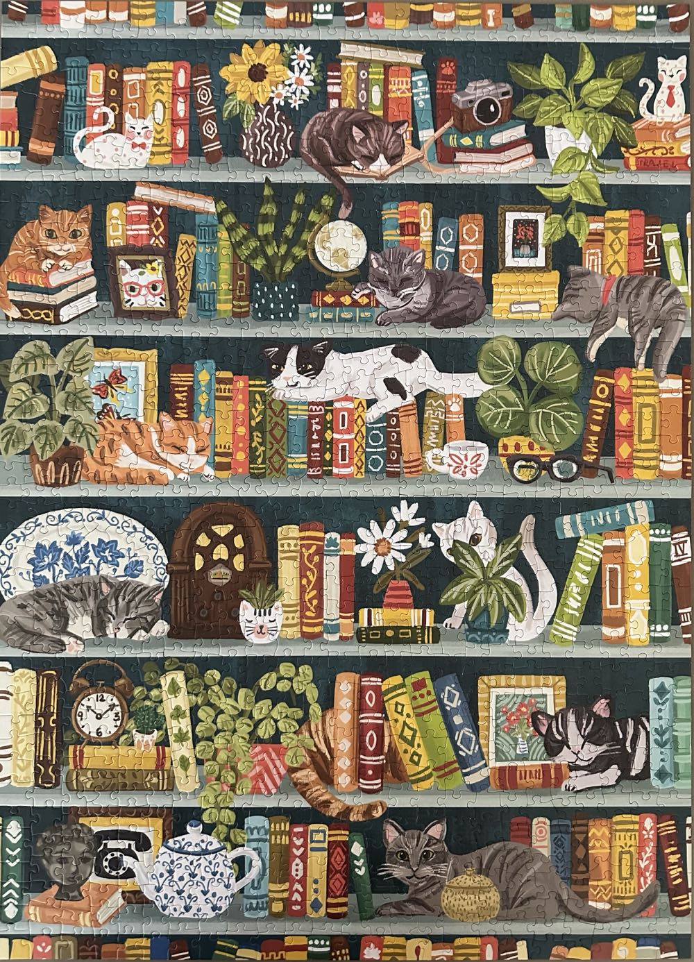 The Purrfect Bookshelf - Cobble Hill puzzle collectible - Main Image 2