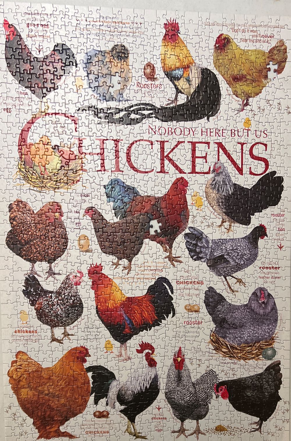Chicken Quotes - Cobble Hill puzzle collectible [Barcode 625012572088] - Main Image 2