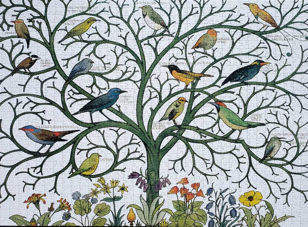 Birds Of Many Climes - Museum & Galleries puzzle collectible - Main Image 2
