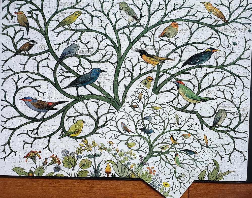 Birds Of Many Climes - Museum & Galleries puzzle collectible - Main Image 3