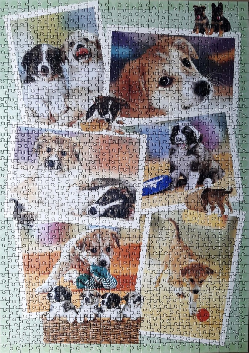 Dogs - Heye Puzzle puzzle collectible - Main Image 3