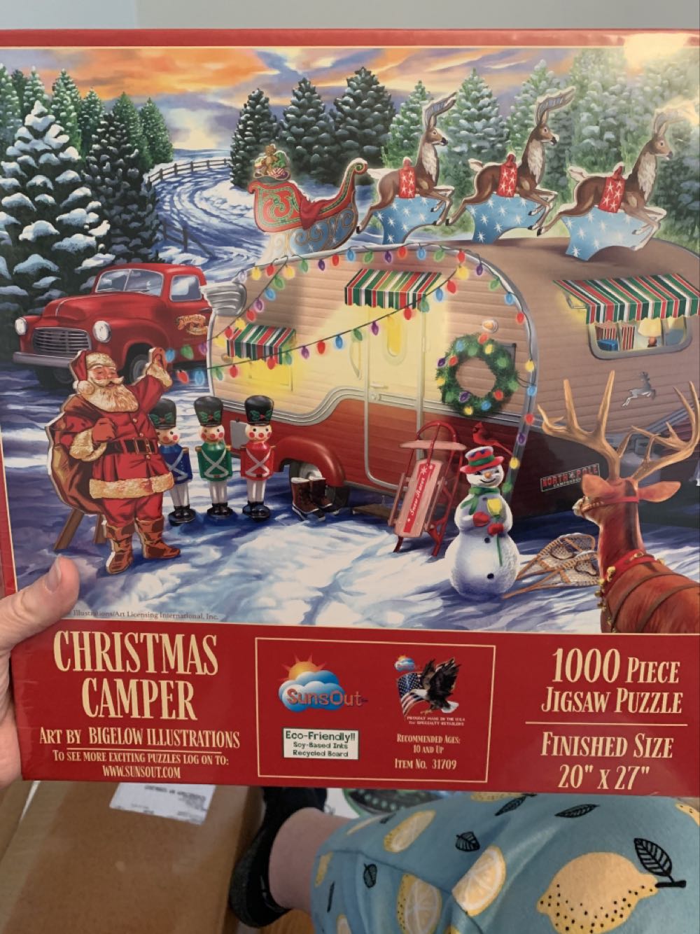 The Puzzle That Burnt The Turkey