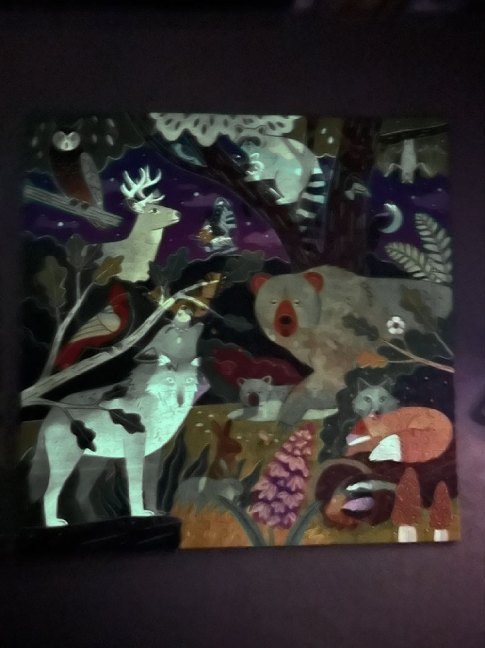 Forest*** - Mudpuppy puzzle collectible [Barcode 9780735377462] - Main Image 3