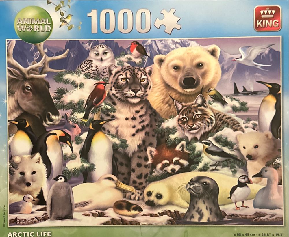 Spongebob Squarepants