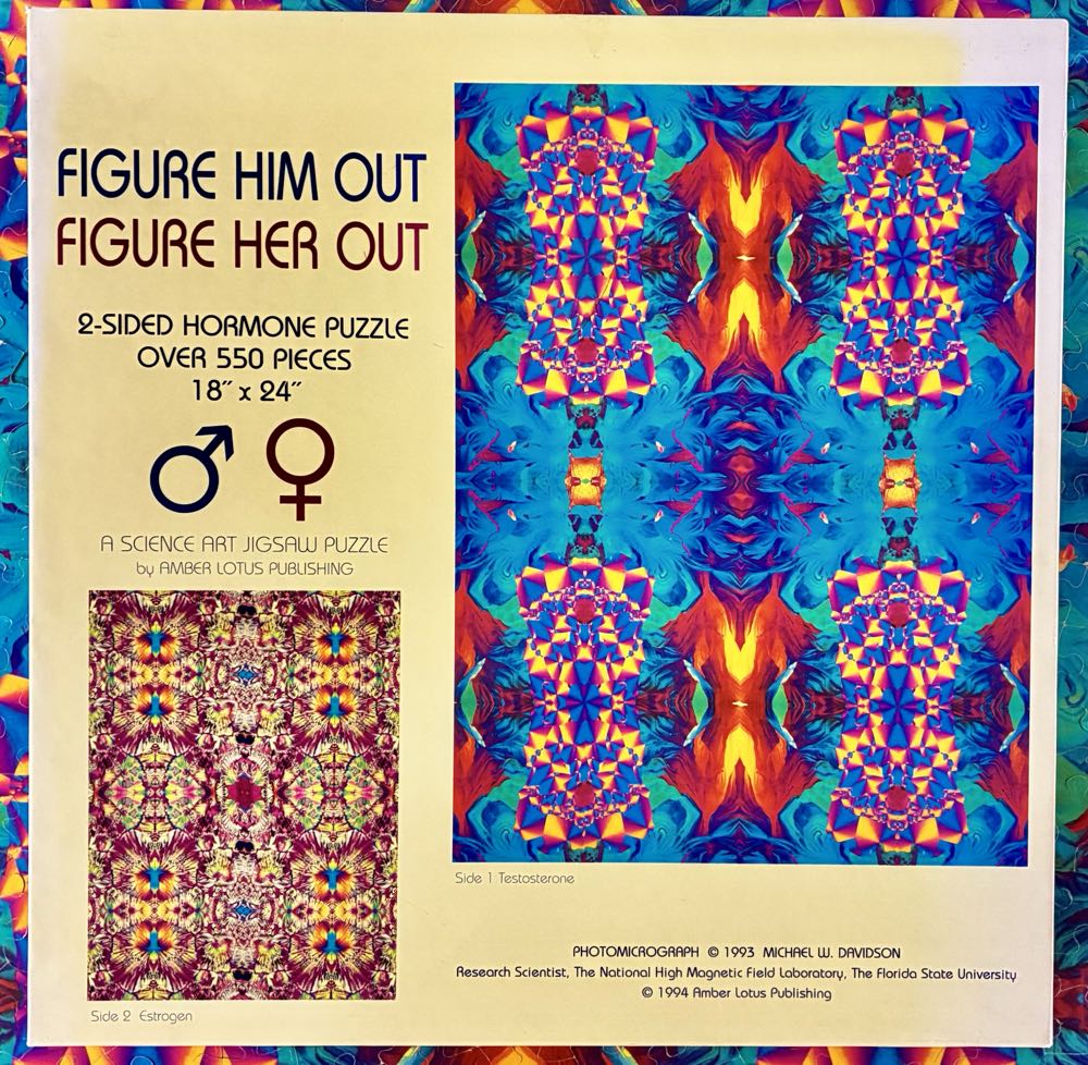 Figure Him Out Figure Her Out - Amber Lotus puzzle collectible [Barcode 762109480014] - Main Image 2