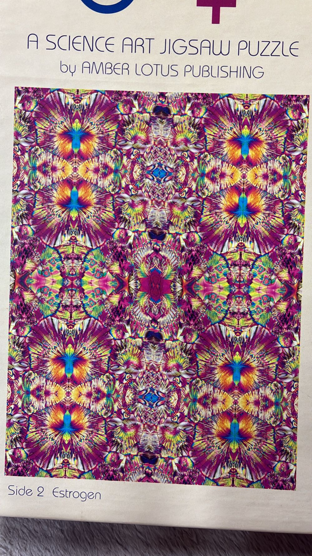 Figure Him Out Figure Her Out - Amber Lotus puzzle collectible [Barcode 762109480014] - Main Image 3