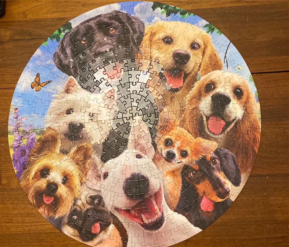 Ornate Cats Collection