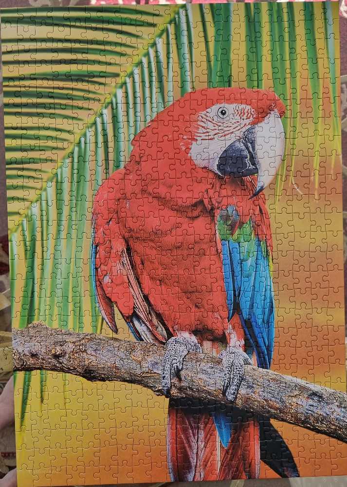 Mystery #22 Wasgij Winter Games