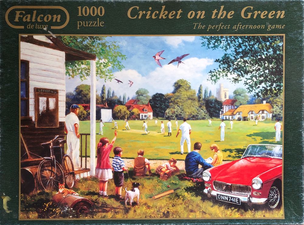 Cactus Mountain,  AZ