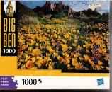 The Incredibles 2🟦❓