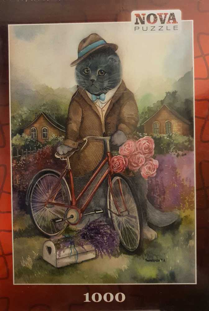 Queen Of The Night Faires