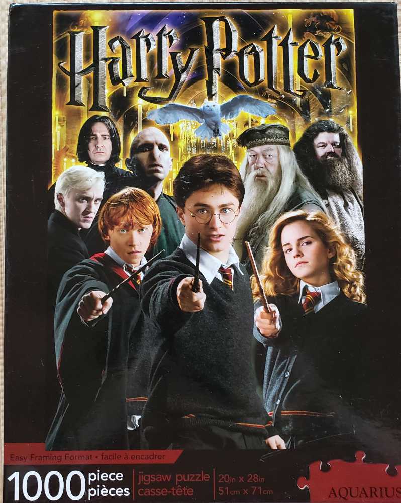 Harry Potter - Main Cast - Aquarius puzzle collectible [Barcode 840391114548] - Main Image 2