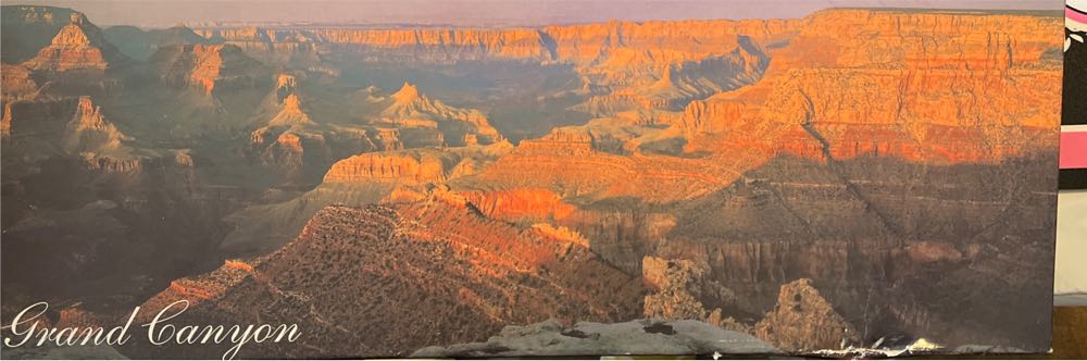 Harry Potter - Diagon Alley With Foiled Embellishment