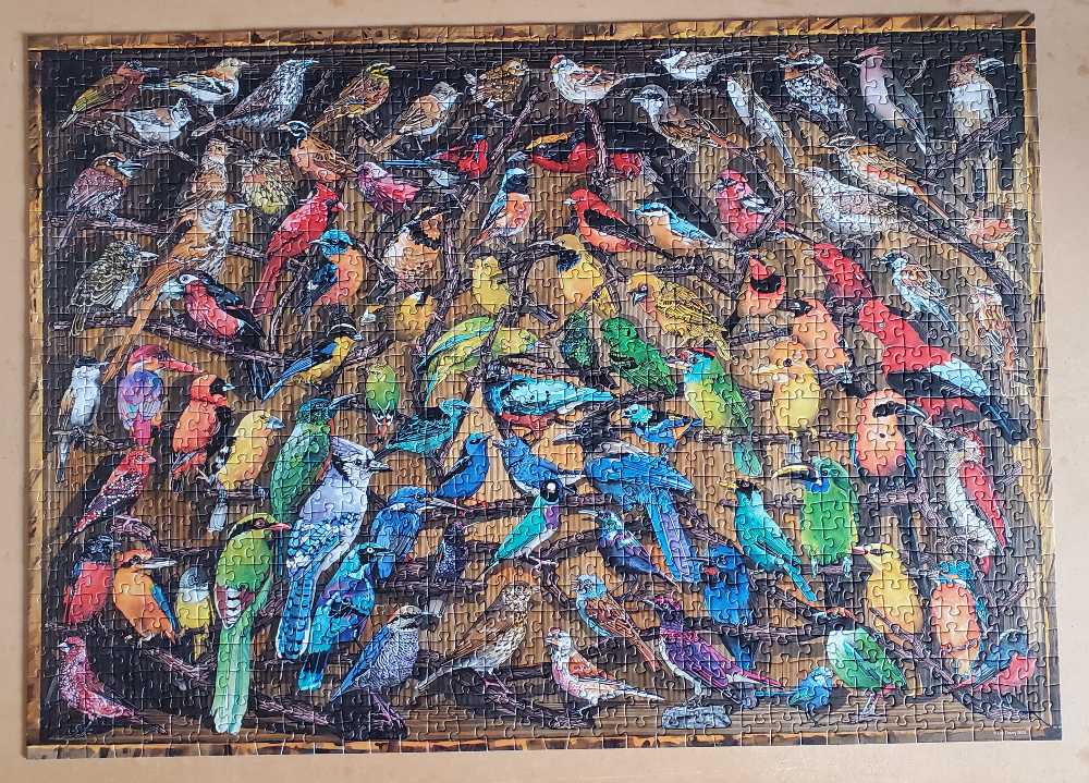 Rainbow Of Birds - Ravensburger puzzle collectible [Barcode 4005556174782] - Main Image 2