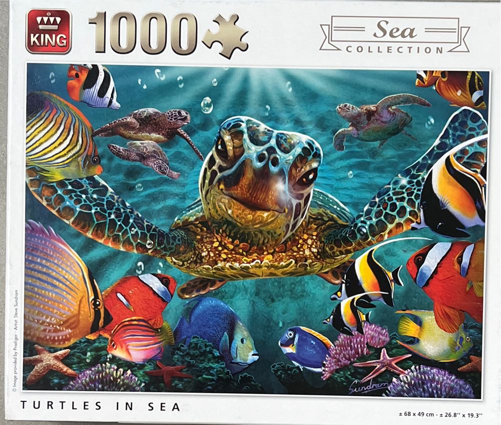 Tortoise And The Hare