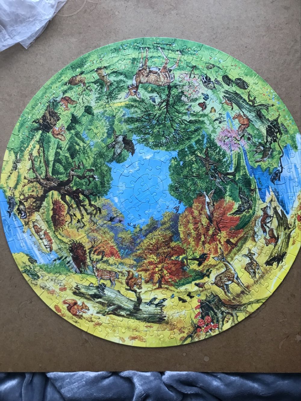 Nature’s World - Falcon puzzle collectible - Main Image 2