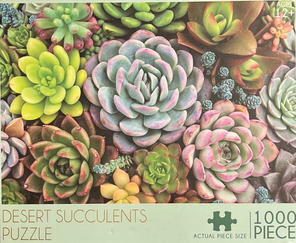 Spirit Of The Sixties FOTO