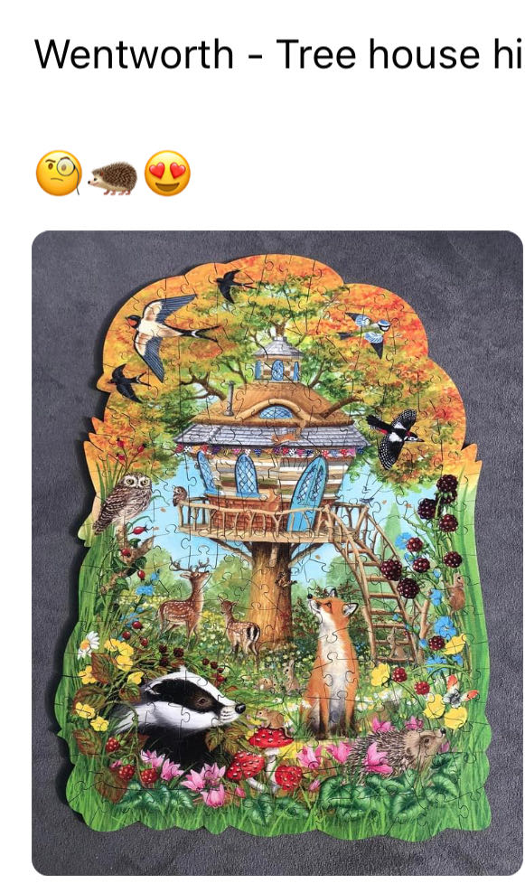 Olsen Family Reunion 