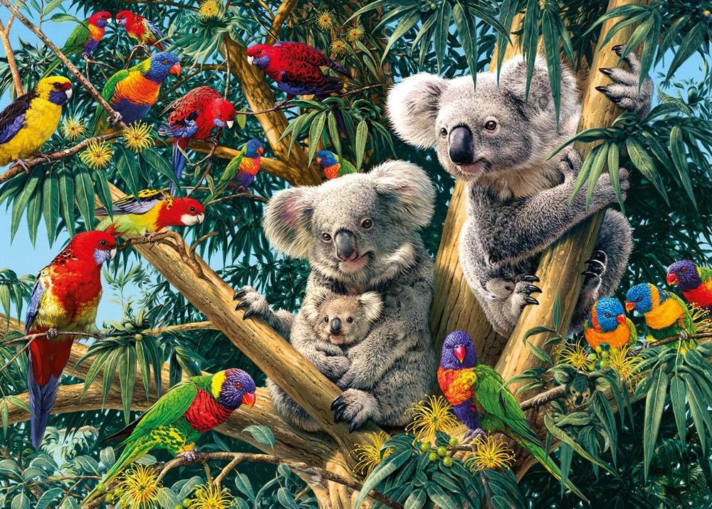 Cuddly Koala’s Discoveries - Gibsons puzzle collectible [Barcode 5012269070620] - Main Image 2