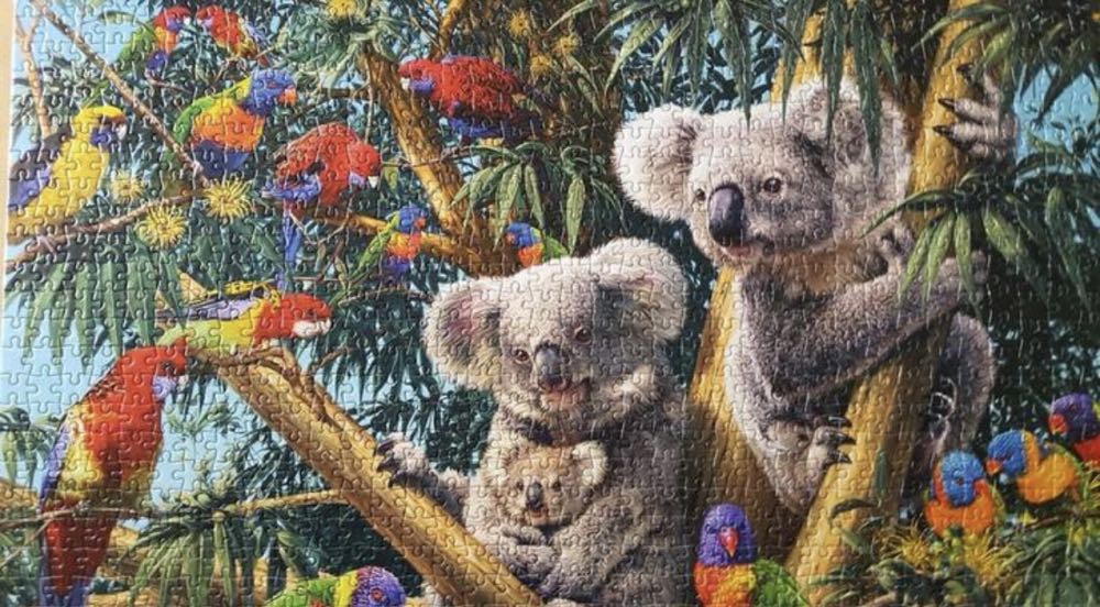 Cuddly Koala’s Discoveries - Gibsons puzzle collectible [Barcode 5012269070620] - Main Image 4