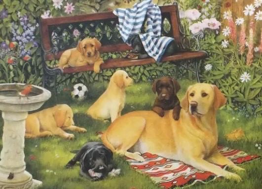 A Dogs Life - Falcon de luxe puzzle collectible [Barcode 8710126109779] - Main Image 2