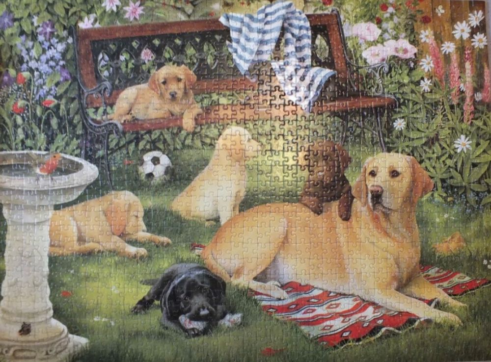 A Dogs Life - Falcon de luxe puzzle collectible [Barcode 8710126109779] - Main Image 3