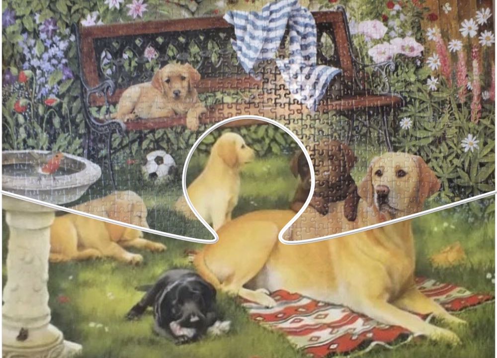 A Dogs Life - Falcon de luxe puzzle collectible [Barcode 8710126109779] - Main Image 4